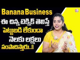 Javeria: How To Start Banana Business In Telugu | Banana Business Idea| Money Management |MoneyWorld