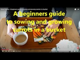 Grow Carrots. A beginners guide to sowing and growing carrots in a bucket