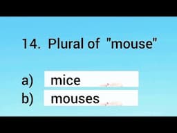 SINGULAR Vs PLURAL Quiz | Choose the Correct Singular vs Plural Form of Words