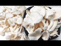 Do Oyster Mushrooms Have Protein? Oyster Mushroom Protein Content | How Much Protein in Them | Facts