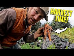 Eve's Garden of Carrots || Alaska Last Frontier Kilcher