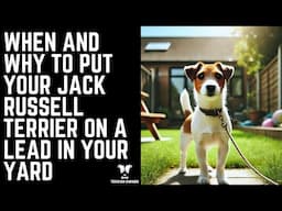 When and Why to Put Your Jack Russell Terrier on a Lead in Your Yard