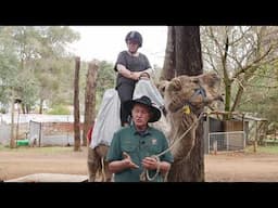 Ep# 31 Camels In The Perth Hills