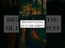 BIGFOOT PACING ME #shorts #scarystories #paranormal #horrorstories #cryptids #creepy