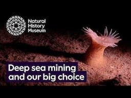 Deep sea mining and our big choice