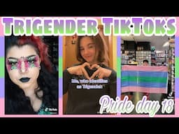 Trigender TikToks - Pride day 18