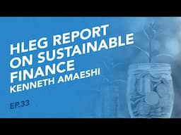 How to scale up sustainable finance in low- and middle-income countries - with Kenneth Amaeshi