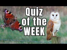 Can you Answer these 8 Wildlife Questions Correctly? ---- Wildlife quiz of the week!