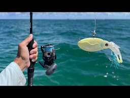 Ocean Jigging w/ a SQUID LURE and LIVE BAIT Fishing - Multi-Species Florida Action