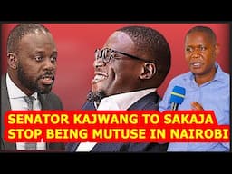 😭😭😭"YOU ARE BEHAVING LIKE MUTUSE, ARE YOU WITH US??" SAKAJA HARSHLY GRILLED BY SENATORS, EXPOSED💥💥💥💥