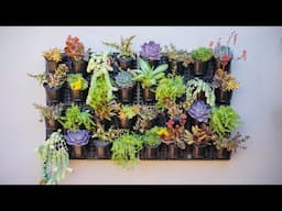 Vertical Succulent Garden - Watex Expandable Green Wall