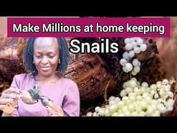 Snail farming will make millions money in the comfort of your home, the cheapest business to start