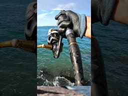 1ft Long Spoon Catches Sea Monsters