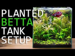 3D Printing Aquarium Centerpiece: Planted Betta Tank Setup