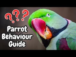 Parrot Behaviour Guide | Cockatiel Macaw Budgie Conure Love Bird Behaviors | TheParrotTeacher