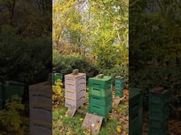 Übelstes Winterwetter rollt heran - Bienen winterfertig machen #imkern #natur #bienen