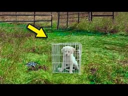 Two Bikers Find An Abandoned Dog In Cage. Looking inside, They SCREAM In Horror!