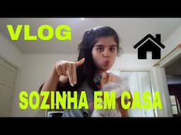 VLOG - SOZINHA EM CASA | Brenda Severo