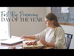 How To Preserve Strawberries: First Big Preserving Day Of The Year