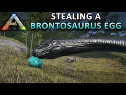 Stealing a Brontosaurus Egg • ARK: Survial Evolved