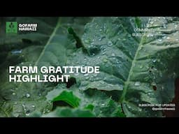 Gratitude Highlight 1/7/22