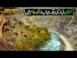 Stunning Views of Markhor's Homeland | Explore Natural Beauty of Chitral | Paharon ka Safar