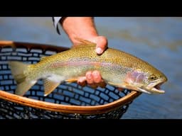 How to Clean Trout Without Removing the Head!