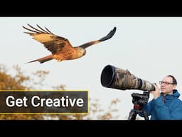 How to Photograph Red Kites Like a Pro: Creative Flight Photography Tips