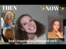 how i repaired my damaged curls + my current wash and go routine