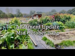 Allotment Update Mid October 2024, Allotment Diary, Allotment Gardening