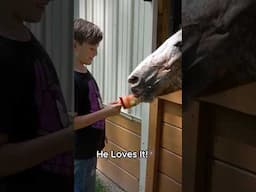 Horse Popsicles 😋