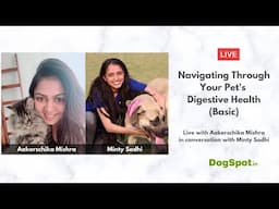 Navigating Through Your Pet's Digestive Health (Basic)