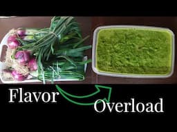 Flavor Overload: DIY Homemade Spring Onion Spice Blend