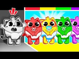 I Need To Find My Colours! | Learn Colors | Funny Songs For Baby & Nursery Rhymes by Toddler Zoo