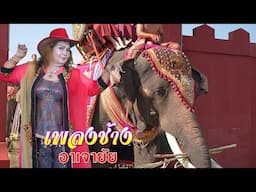 ช้าง elephant อาเจายัย ไพโรจน์ซาวด์