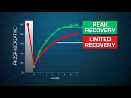 The Hidden Downside of Always Training Too HARD (Science Explained)