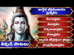 లింగాష్టకం - శివాష్టకం - విశ్వనాధాష్టకం - బిల్వాష్టకం - చంద్రశేఖరాష్టకం - ద్వాదశ జ్యోతిలింగ స్తోత్రం