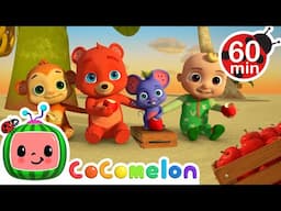 Apples and Bananas | CoComelon Animal Time | Animal Nursery Rhymes