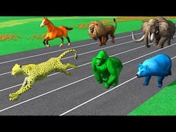 Learn Wild Animals Running Race Video For Kids - Learn Animals Names & Sounds For Children Toddlers