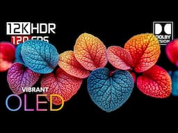 THE COLORS HDR 12K Video ULTRA HD Dolby Vision