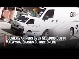 Courier van runs over sleeping dog in Malaysia, sparks outcry online