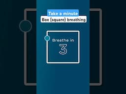 Box Breathing (Square Breathing) in 1 Minute. Take a BREATH #breathe