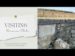 Visiting Domaine de la Romanée-Conti Vineyard | The World's Most Expensive Wine | HD Drone Footage