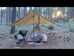 Solo Camping in Pine Forest, Cozy Relaxing ASMR