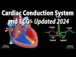 Cardiac Conduction System and Understanding ECG/EKG - Updated 2024, Animation