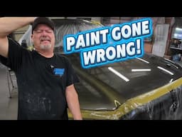 How to Wet  Sand & Buff a paint job for a Perfect Finish!