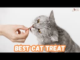 How to Choose the Right Cat Treats