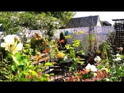 Tiny Backyard Garden Plants and Flowers To Relax in Autumn | #new #garden #flowers #rose #plants