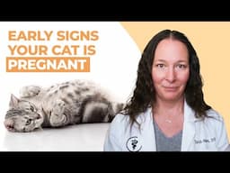 Early Signs Your Cat Is Pregnant