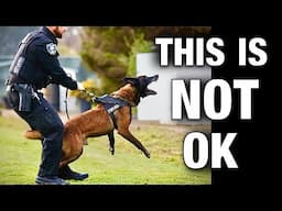 Police Attack Dogs Exposed and How We Got Here